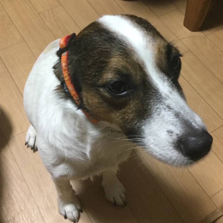 B2ac4934 3802 416a 9ec0 32486d9a0cc8 1538647605878