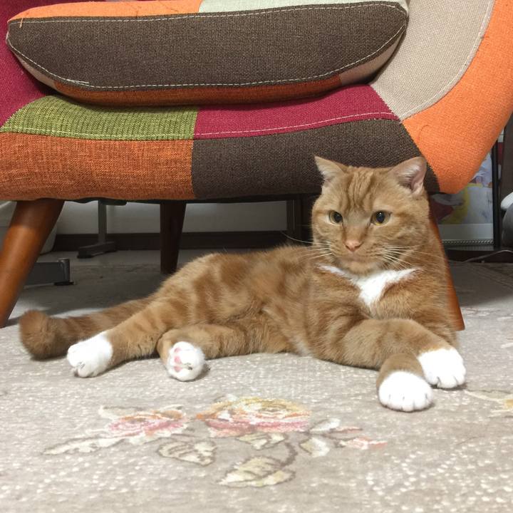 B2acf538 5d83 41c0 a917 15d91d35e55a 1549460575752