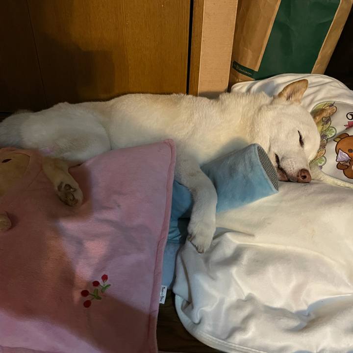 B2ad25d4 4f91 4e38 9c07 0fe83ddb167e 1634222248125