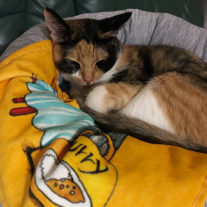 B2ad5e16 8771 4fa6 84fb 360b3a790f2c 1566311360725