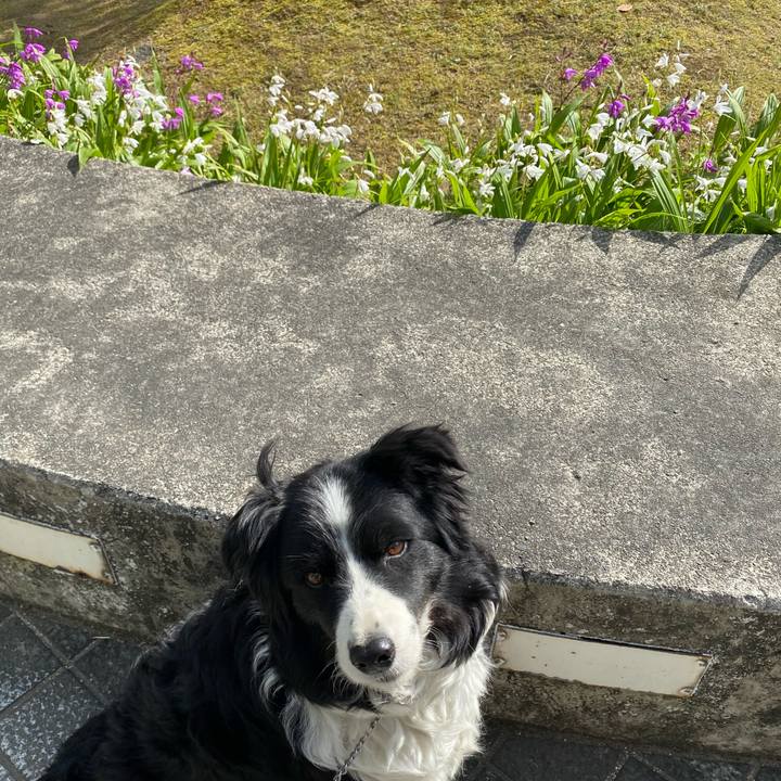 B2ad67e5 b950 4de3 b85e ee4f42da43a5 1618705958702