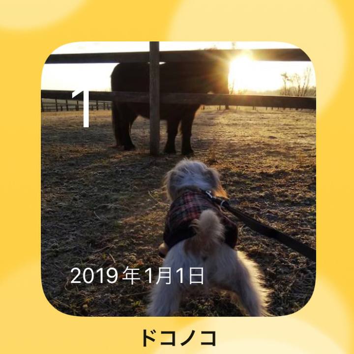 B2ad9313 f336 49c0 8371 4670dd24ff6c 1641013601842