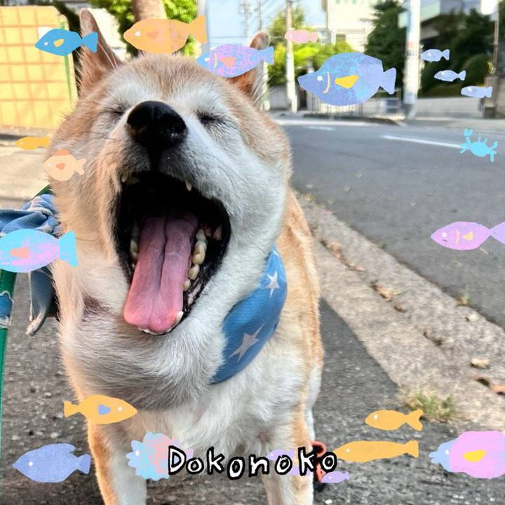 B2ad95a5 c569 4c8b 8593 887cd06d3dc8 1755055739930