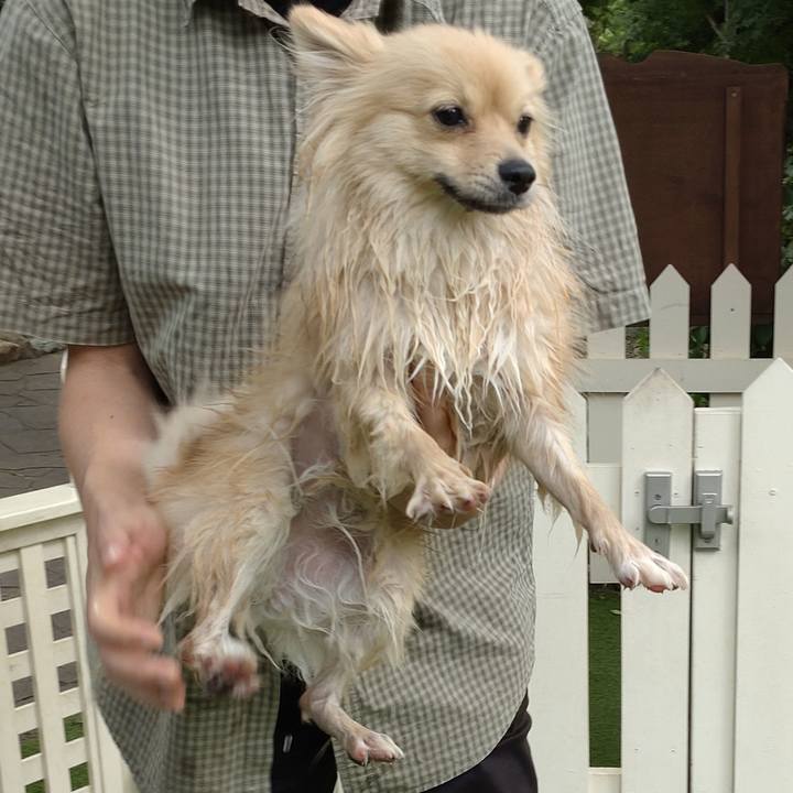 B2ada9ce 9cdd 44a6 a75c 6f1171af924f 1749508620954