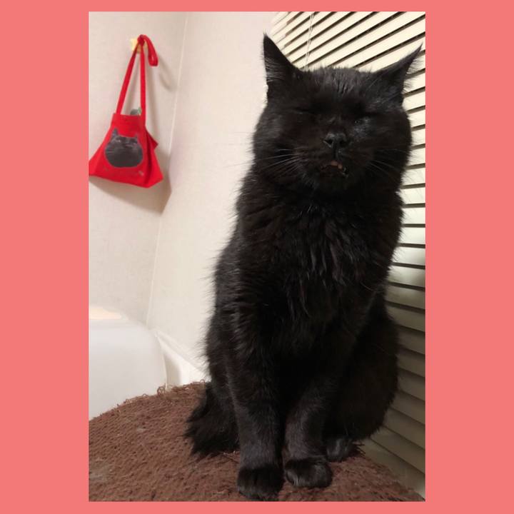 B2addfa6 1596 4801 b156 e3dbf8e9c40d 1601207989723