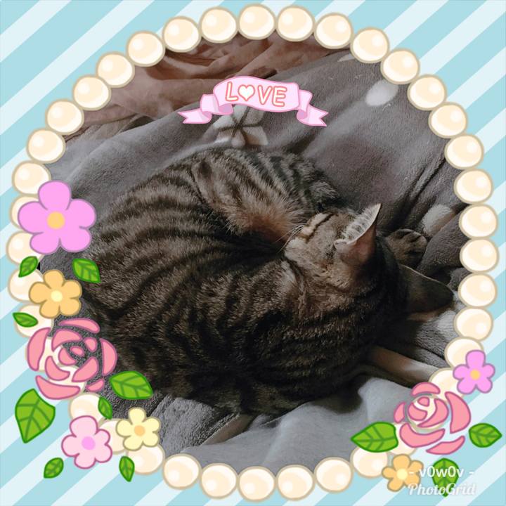 B2ade4b7 2f38 433b 9b2c aa0b2441b1a4 1543791604497