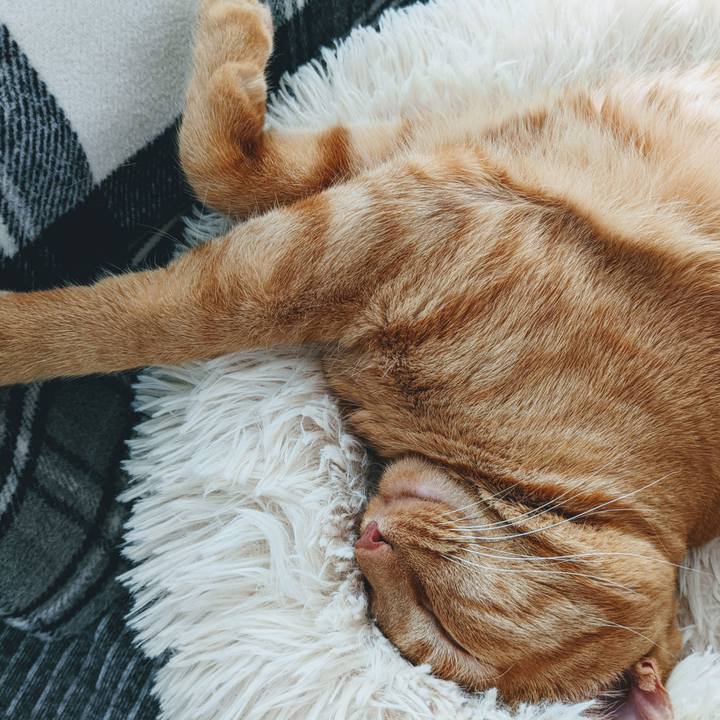 B2ae1910 c38e 468d 9966 4aa03b189e48 1652137842465