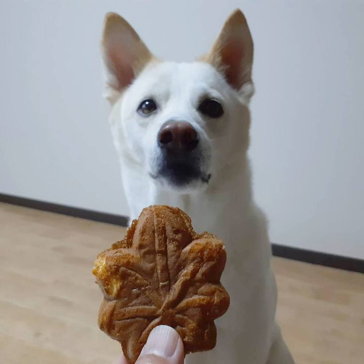 B2ae21d0 07e1 439e a516 a9ee4a362b70 1690787875263