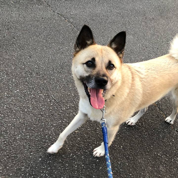 B2ae3568 7c68 4dd6 88a0 1de2904cfa63 1596632268589