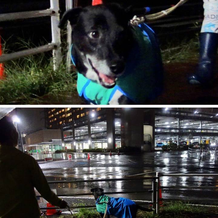 B2ae6e98 e151 46f0 b5d5 b5c1361c9a23 1730201729072