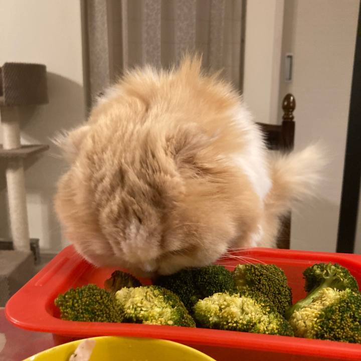 B2af0238 7562 45b4 802a a4ca543be2f8 1706962649627