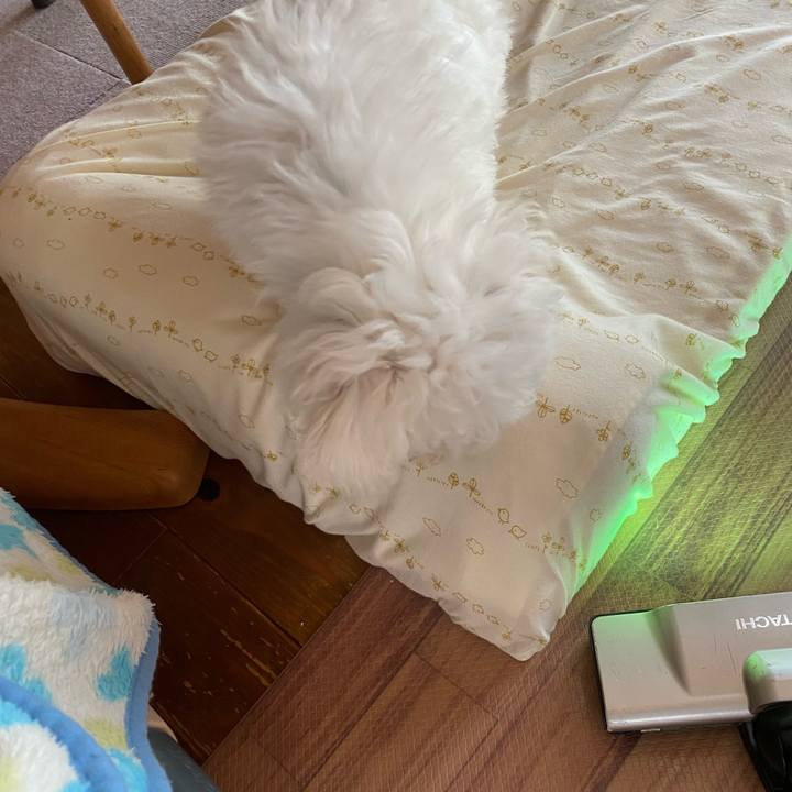 B2af119d 7265 48da 941a c731d6160078 1743986661248