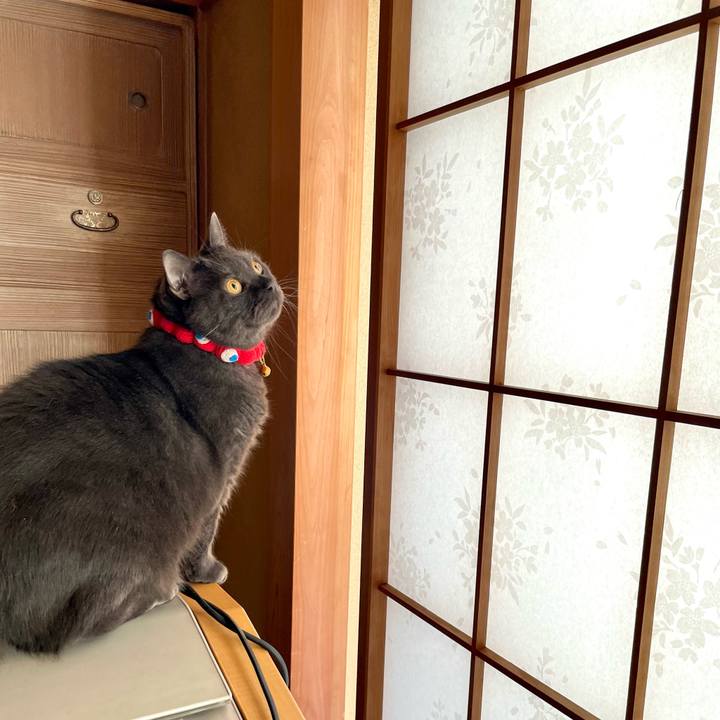 B2af1f77 f368 46b6 a41e ac81a2563fd3 1763681129521