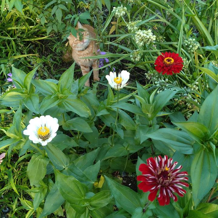 B2af443a 5f5a 49ec a6e9 7f3b4d9c2ff4 1690019339607