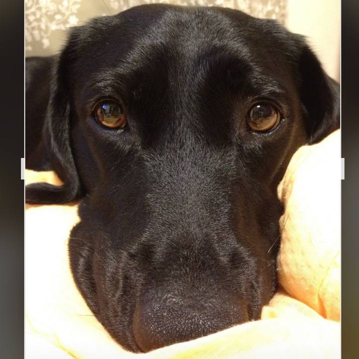 B2af56e3 8c25 4ae5 afe1 d1fad414bab0 1743348873604