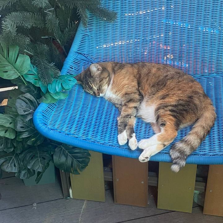 B2af9d0d e2ca 4653 bfab 3393b53d810c 1755415659684