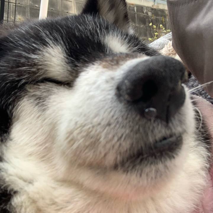 B2af9ddc 051a 4a6b 9ed9 9f782ae8ec35 1705964750324