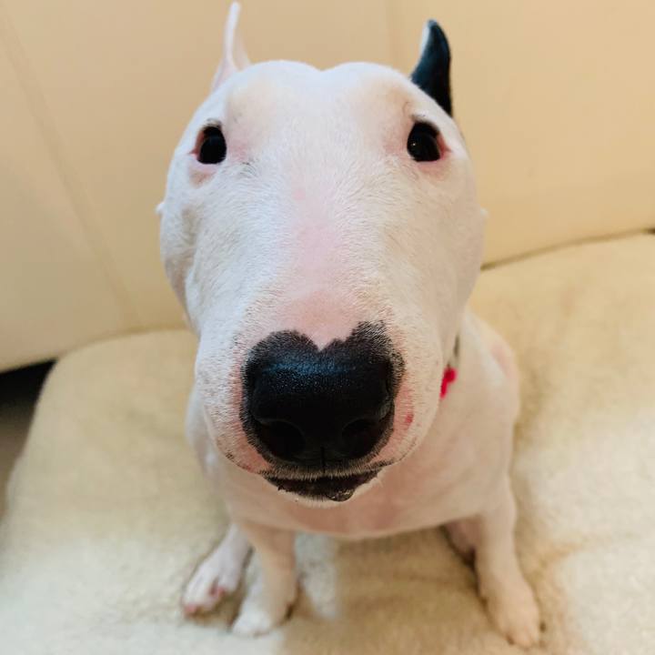 B2afa613 efad 4c35 b485 a3ae5b6b6f38 1552190382667