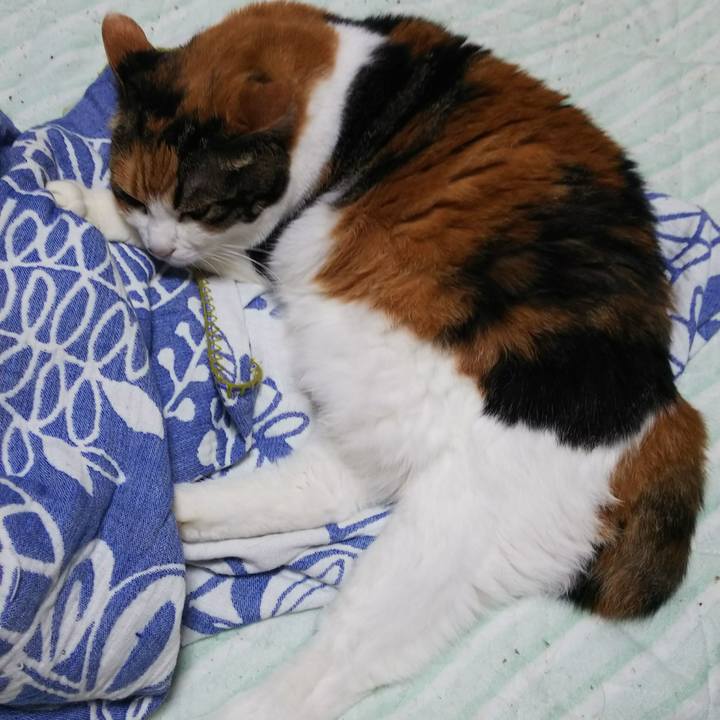 B2afab94 9398 4c1d 992b 832a4b035a3a 1536875229839