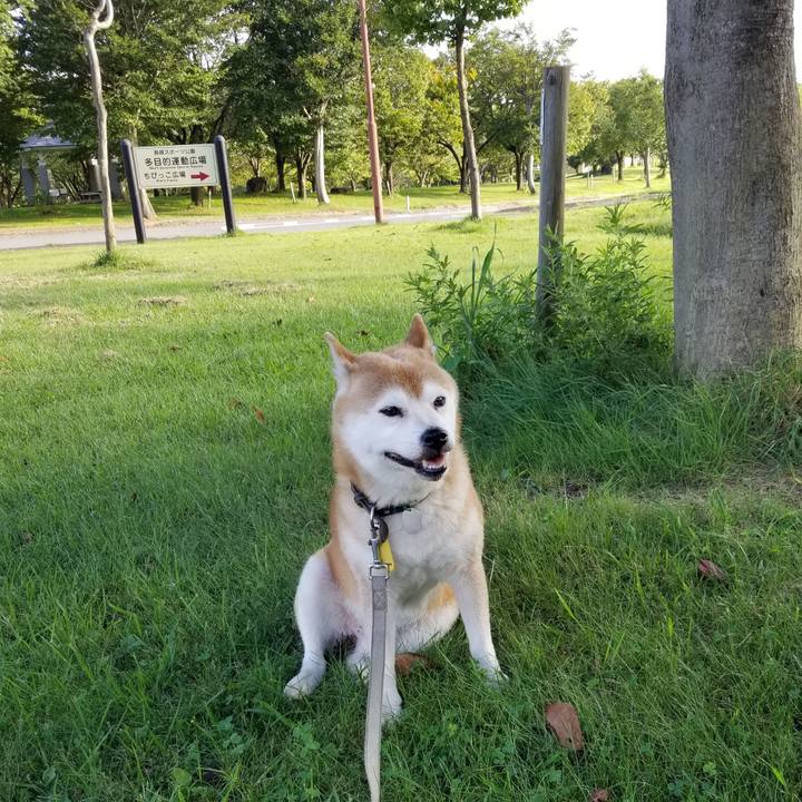 B2afb3f4 e9a4 4eed 9577 de1f47913771 1630136361335