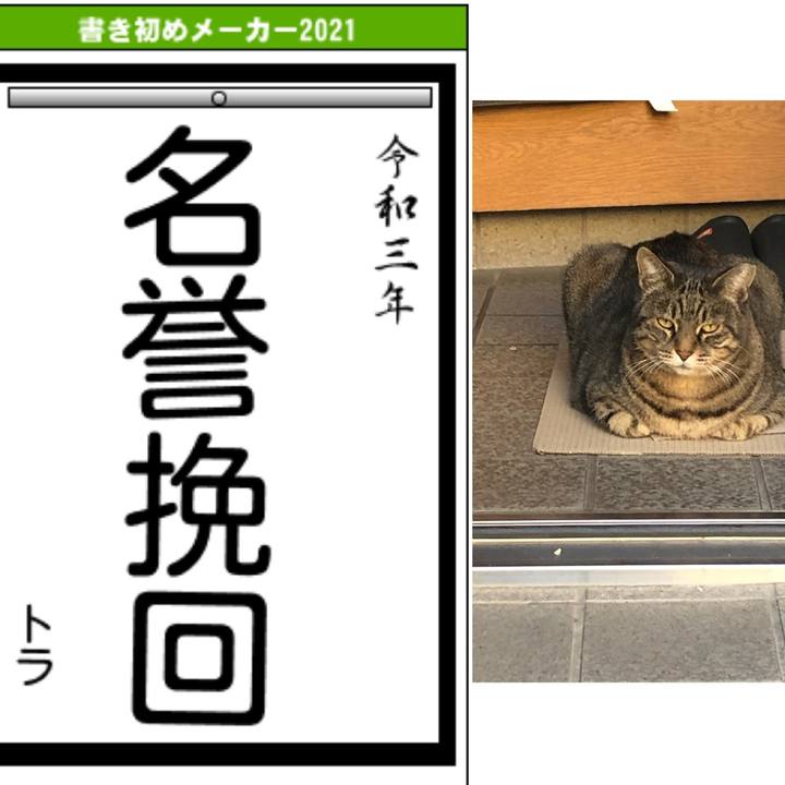 B2afc80d e400 41ff acb3 8505dd7ee6ce 1609591434038