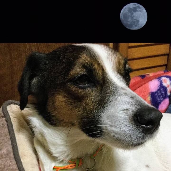 B2afdb4d ad72 4e55 b3a3 d42aecb3e993 1547985638405