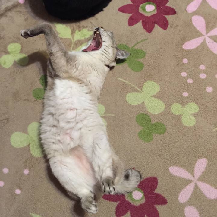 B2b01528 27ea 4e9b 99b9 a3752008a0ef 1544530218100