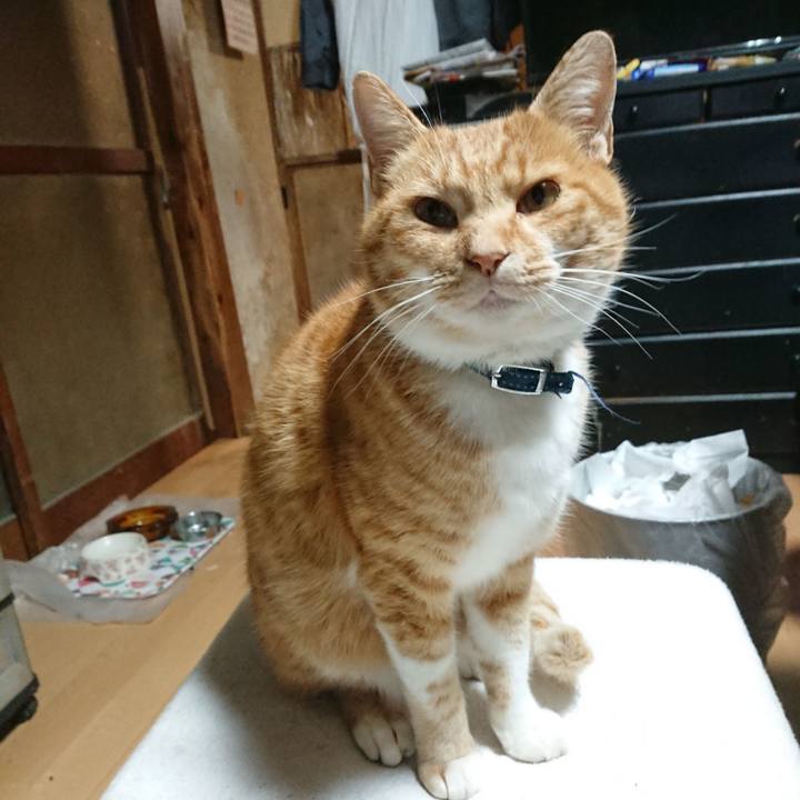 B2b03980 b903 4124 9fbe 68c6da186690 1604518925113