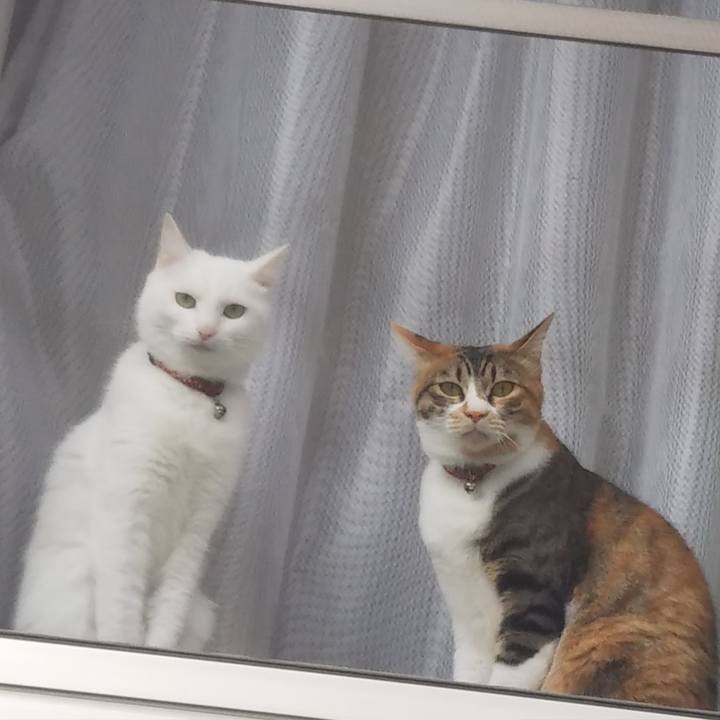 B2b0420f e305 4d02 9c17 03556030e312 1685412971459