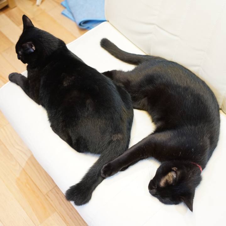 B2b044df 71c4 4110 8bf7 03702075d142 1538609492137