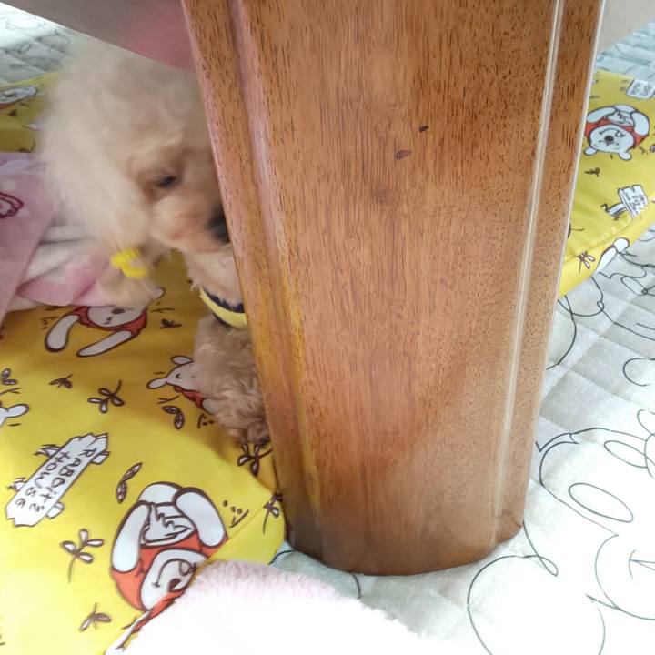 B2b056c5 fb13 451f a801 8948ab1d63d2 1590067313347