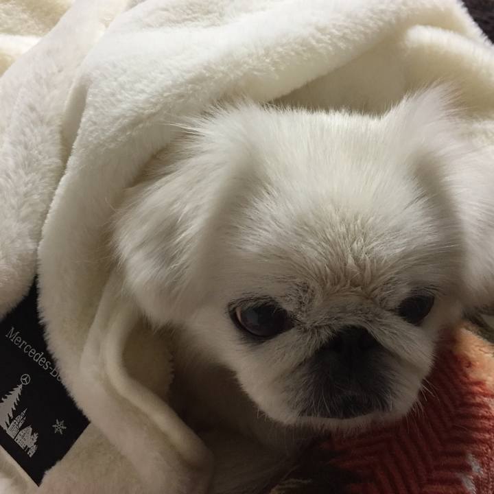 B2b078d6 a8b6 4f58 acbb 07d85170f891 1577695531731