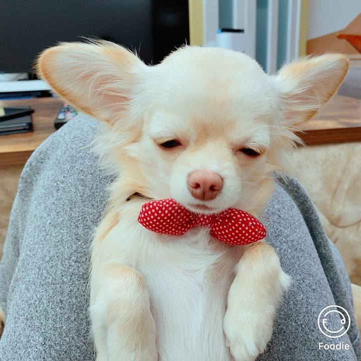 B2b0840b 55a5 4909 9585 b2653add2b32 1609224798336