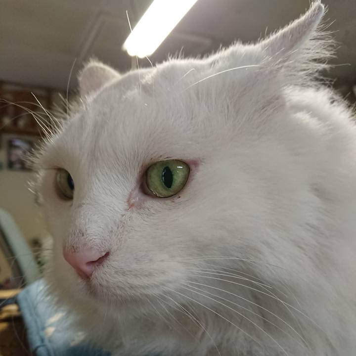 B2b0c1b9 7ad3 44b4 b24d 6de14b07ae50 1561328684404