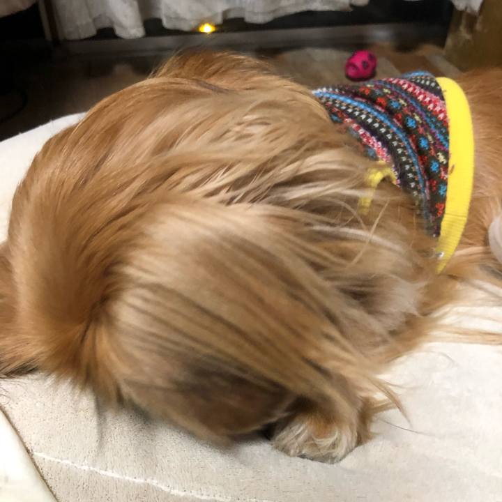 B2b0e065 c9f9 4938 b823 38f118449a37 1546595983511