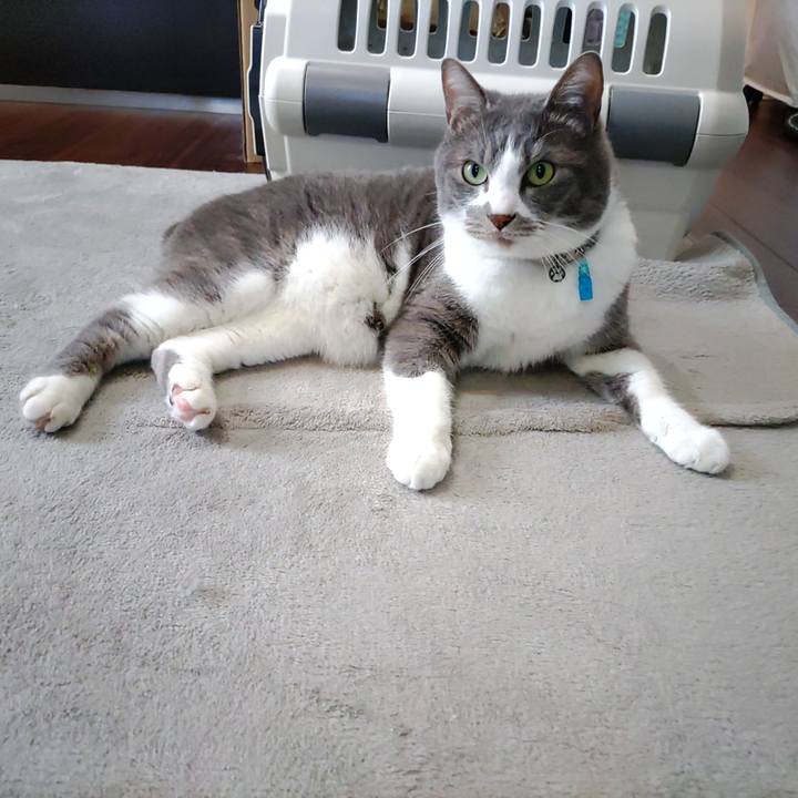 B2b0e761 2f0b 4ad0 b81f 3b0a548ed17b 1714281452254