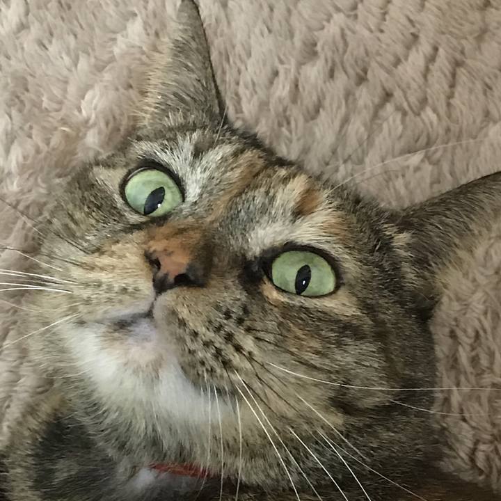 B2b0fb87 41ef 4acf a9c6 70cc086683e4 1514640192961