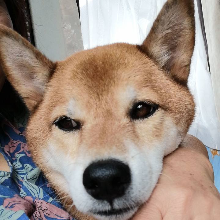 B2b101f7 0f37 4b04 9f37 4e9cb4e22839 1630386612578