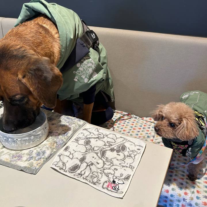 B2b10e56 727d 4715 a5f1 9f350e985ad1 1770185010138