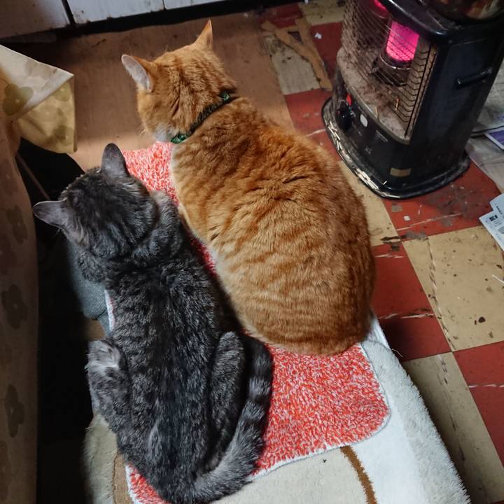 B2b11662 7153 4148 ba24 12bea1a5f25f 1580987387217