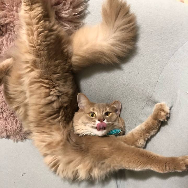 B2b11d4e f79d 47a4 a846 e8607787da14 1638795363191