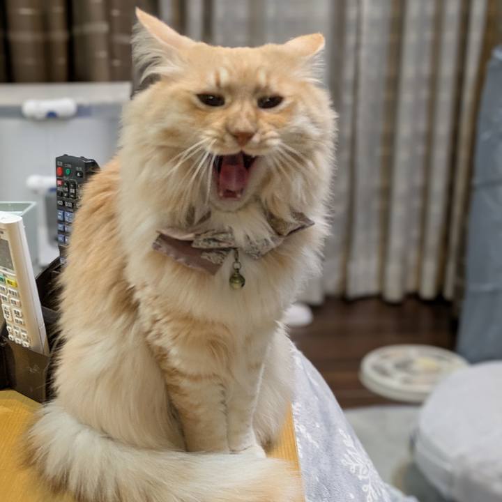 B2b1a5b2 0676 42b4 b15f 32c2a0b606d1 1737629875245