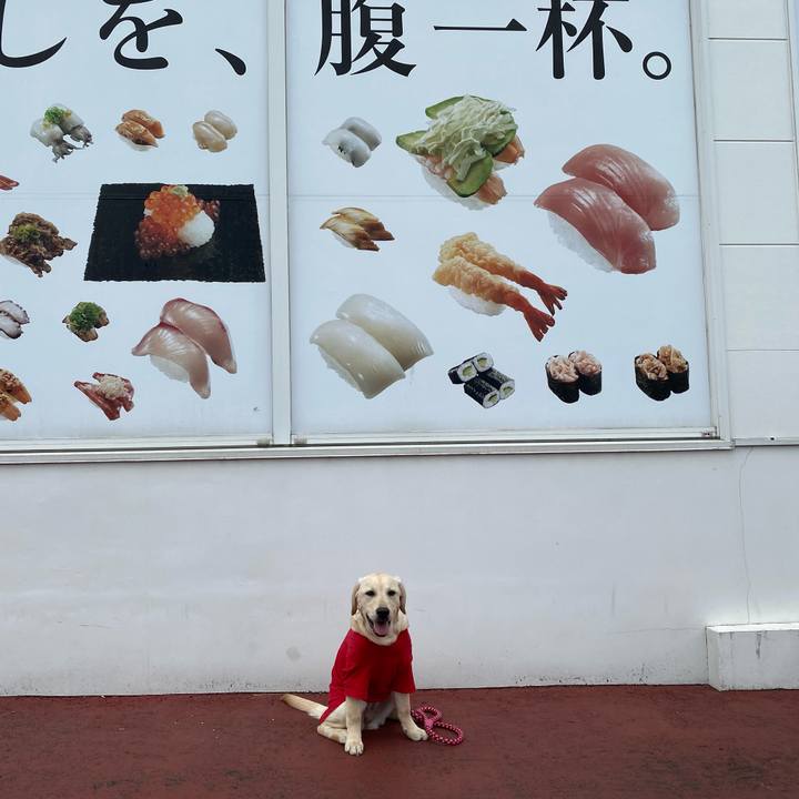 B2b1c23f 24fb 480d bd29 9d99b0c9694f 1619061166217