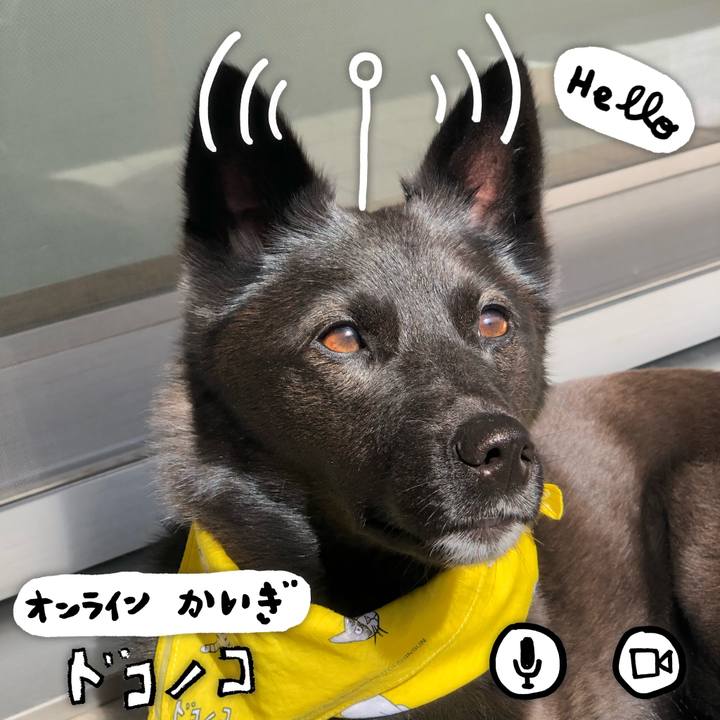 B2b1c387 1c27 486d 94b9 5a51bb169225 1591312400846