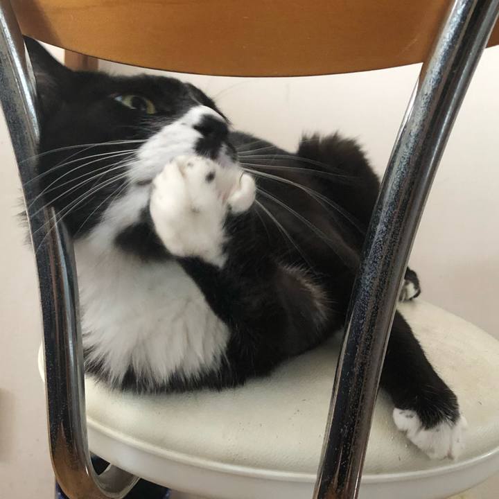 B2b1fc87 e712 47a5 b72f 08003b19d3c5 1663040184606