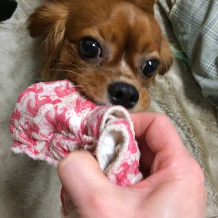 B2b20e53 6d0b 457a 98bf 0d74605ea3aa 1515757067140