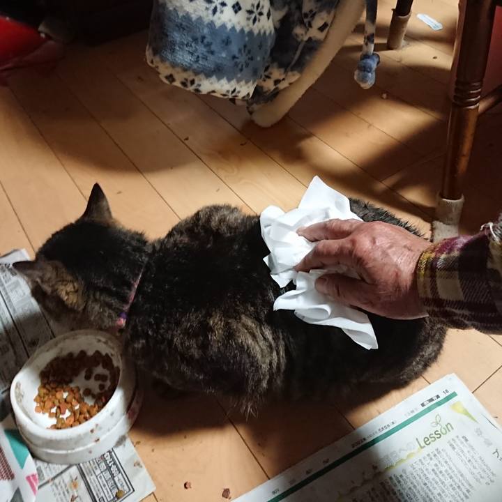 B2b22e2b 142a 4dab 9d90 baa2af22589e 1652389081333