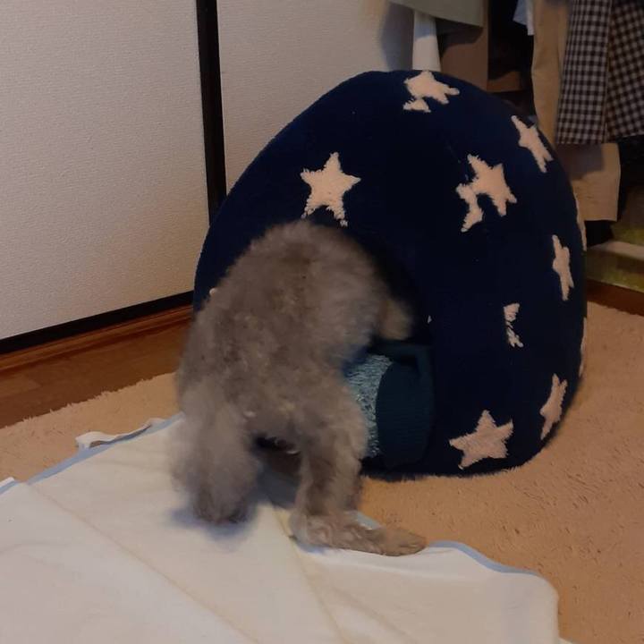 B2b2489b 9bea 42ff b58b 25c0f94fd3d0 1638489910778