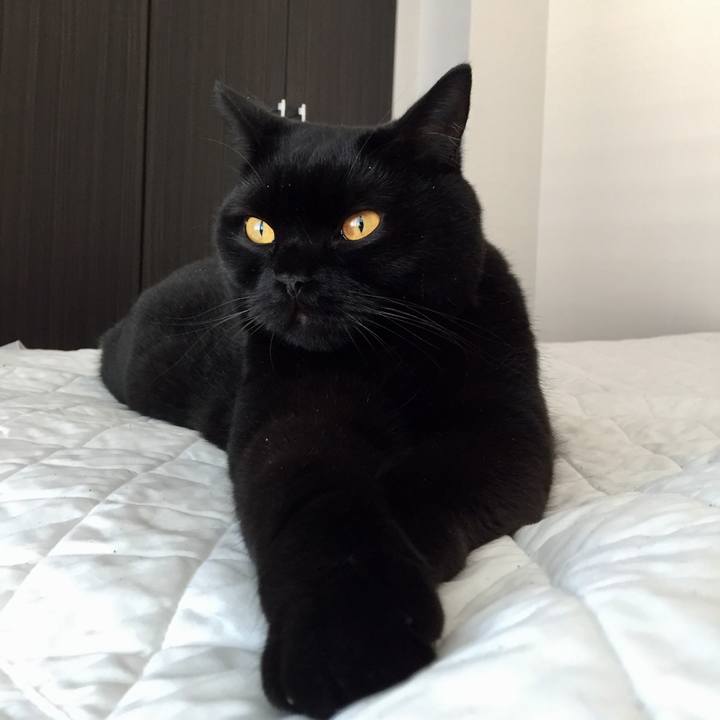 B2b28e34 e7f8 4e2c 8d87 30c2fa3e5b07 1570676199749