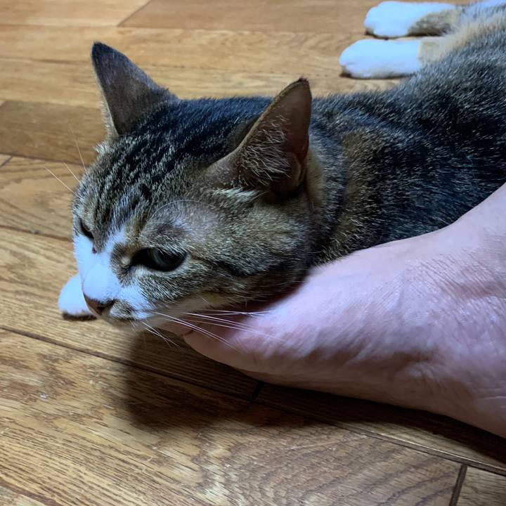 B2b2a23f 8e77 4231 9763 d7e81b19f768 1652182462961